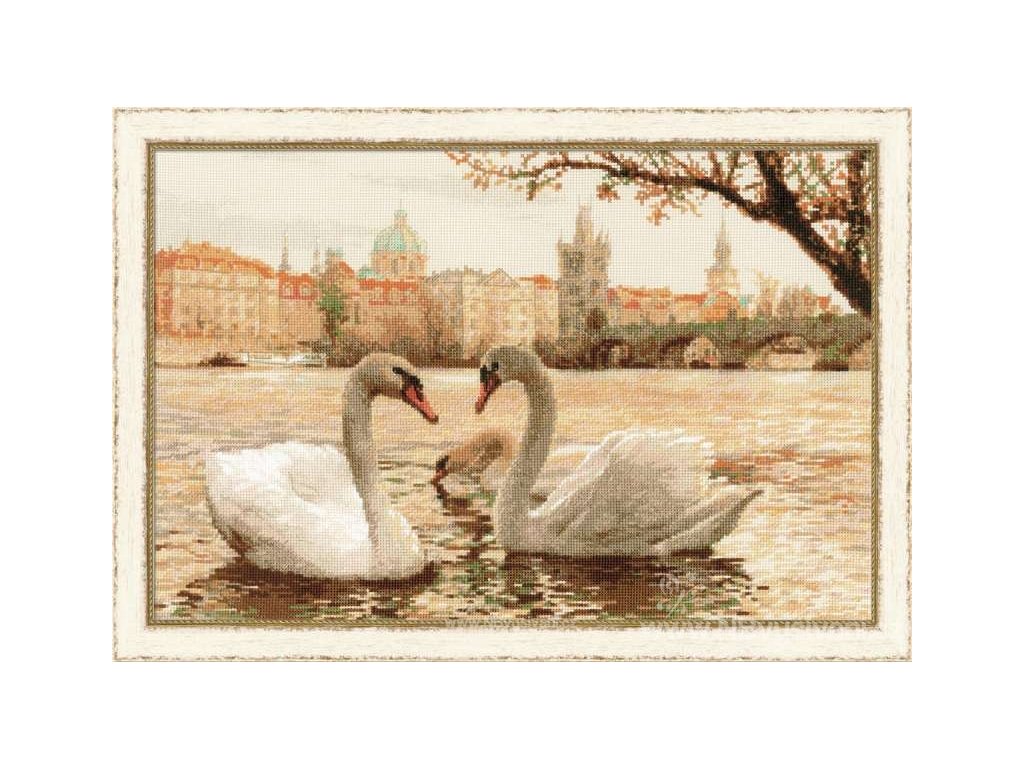 RIO-1364 Plující labutě ve Vltavě