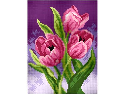 OR2596 Tulipány (18x24cm)