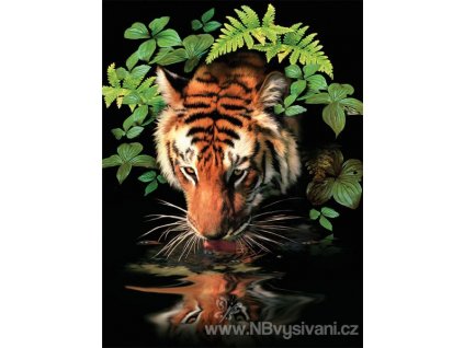 PJS57 Žíznivý tygr