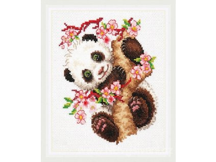 CHI19-26 Panda
