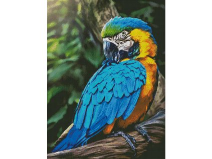 IC1212-2222 Macaw Profile (předloha)