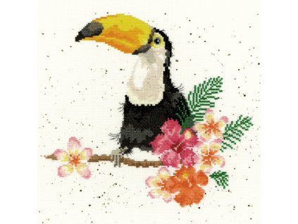 XHD21 Toucan scanned small