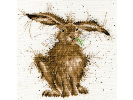 XHD49 Hare Brained small