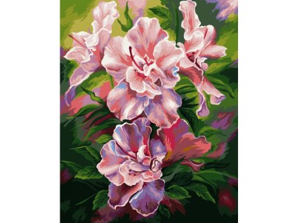 WDP065