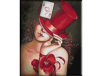 KRI-2055 Ace (gobelínový steh)