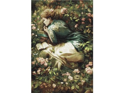 LET-959 V říši snů