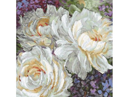 LET-930 Bílé růže