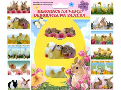 AP779 Smršťovací dekorace na vejce - mláďata