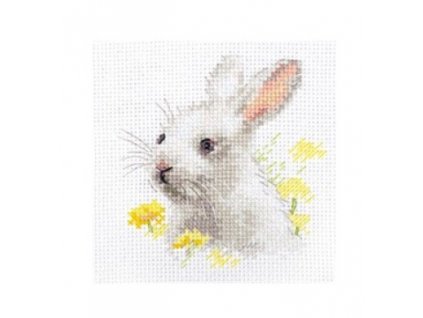 AL0-226 Bílý králíček