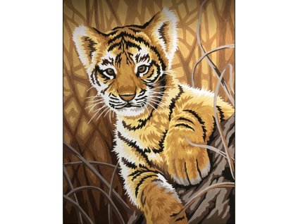 DIM73-91420 Malování podle čísel - Tiger Cub (23x30cm)
