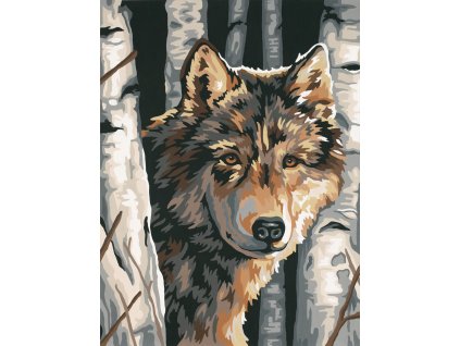 DIM73-91325 Malování podle čísel - Wolf Among Birches (23x30cm)