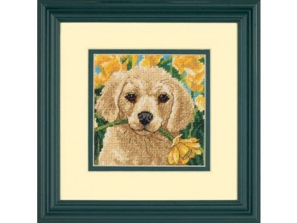 138526 7231 puppy mischief nezbedne stene