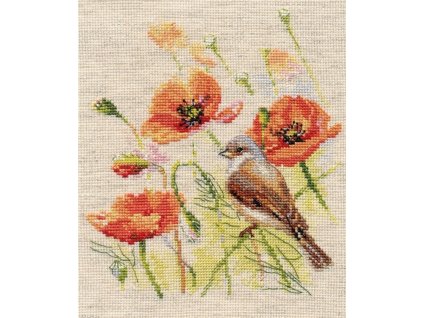 AL1-25 Vlčí máky a ptáček