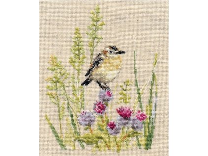 AL1-26 Bodláčí a ptáček