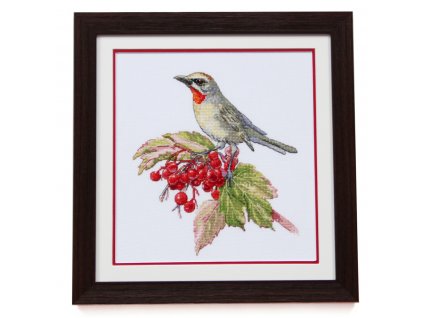 FRU-2013 Slavík na větvičce rybízu