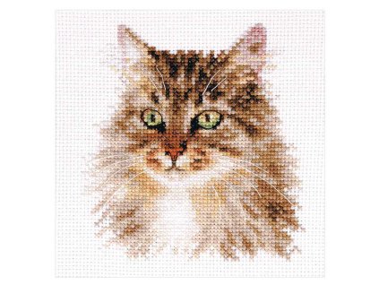 AL1-35 Sibiřská kočka