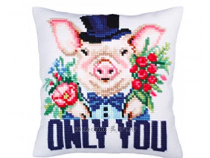 ADA5.377 Polštář - jen ty!