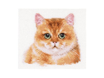 AL1-36 Plyšová kočka