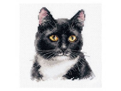 AL1-37 Černá kočka