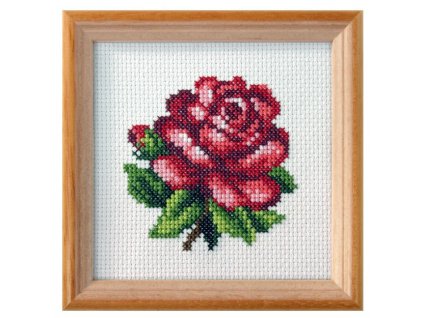 OR7588 Červená růže