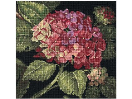 20053 Hydrangea Bloom - Květ hortenzie