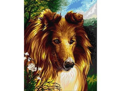 HU-AZ067 Lassie (gobelínový steh)