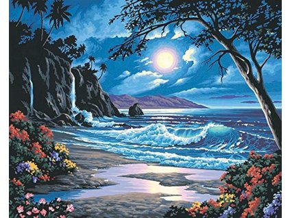 DIM91185 Malování podle čísel - Moonlit Paradise (51x41cm)