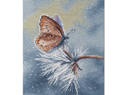 OV-1571 Motýlí let