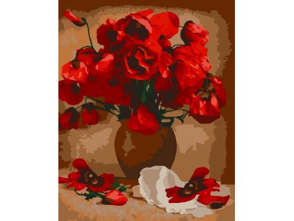 12150 AC 40x50