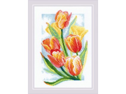 RIO-2191 Tulipány