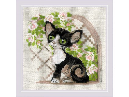 RIO-2121 Koťátko Cornish Rex