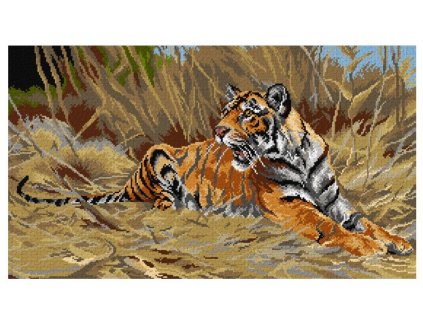 OR3307 W. Kuhnert - Tygr (40x70cm)