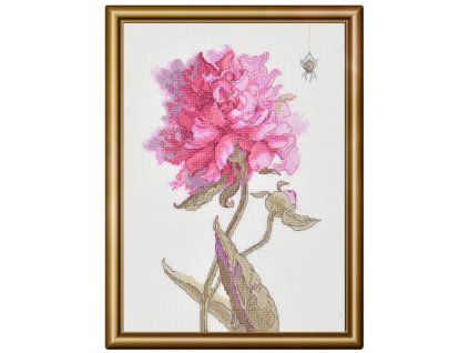 RIO-A1008 Půvavná pivoňka