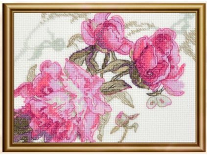 RIO-A1010 Šepot pivoněk