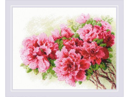 RIO-2258 Nádherné azalky