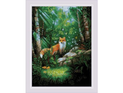 RIO-2251 Liška v lese