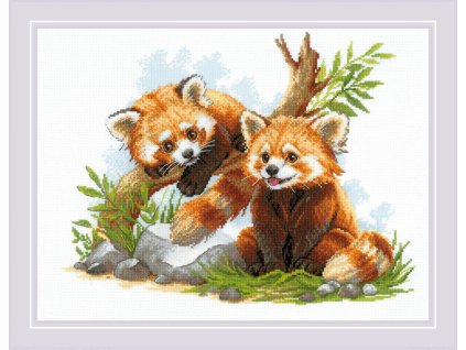 RIO-2257 Malé červené pandy