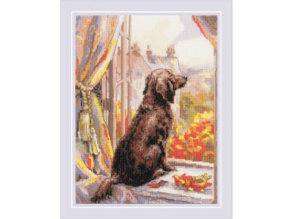 RIO-2256 Čekání na procházku