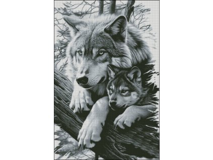 14 vlčice s vlčetem