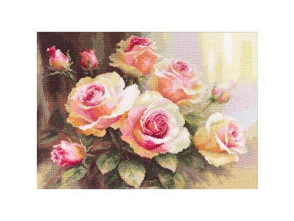 AL2-54 Růže ve slunečním svitu