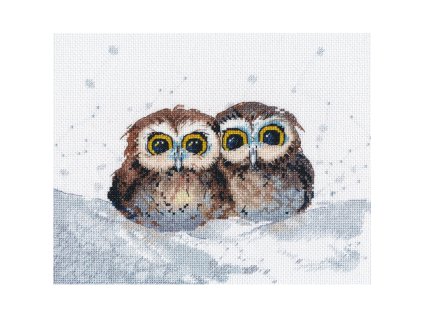 OV-1665 Soví setkání