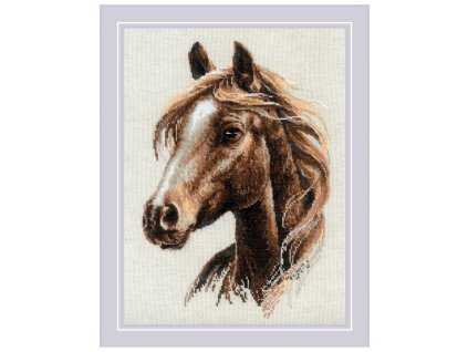 RIO-2293 Hrdá duše