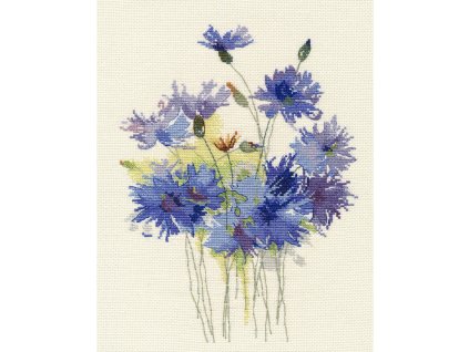 OV-1541 Modré chrpy