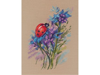 OV-1681 Sluníčko sedmitečné