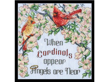 DW-3568 Kde jsou kardinálové, tam jsou andělé