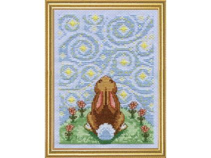 DW-3465 Zajíčkova hvězdná noc