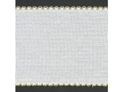 ZW7195-181 Vyšívací stuha se zlatým okrajem š.10cm (1m)