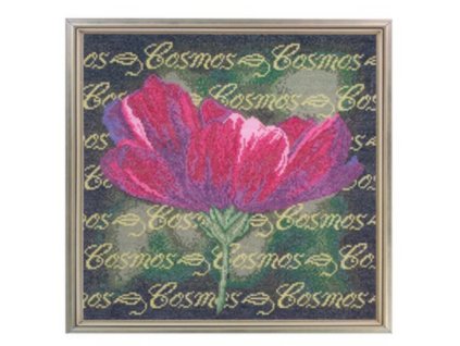 TSC-054-136 Cosmos (předloha)