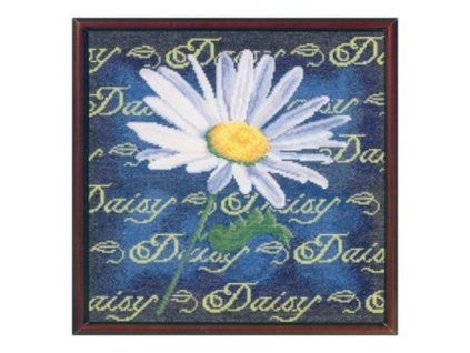 TSC-054-137 Daisy (předloha)