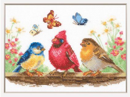 RIO-A1040 Jarní ptáčci